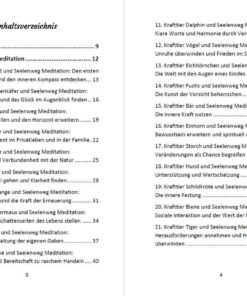 52 Seelenweg und Krafttier Mditationen 3