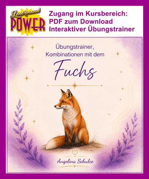 Fuchs Kombinationen-Uebungstrainer